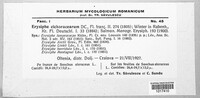 Image Associated With the Occurence